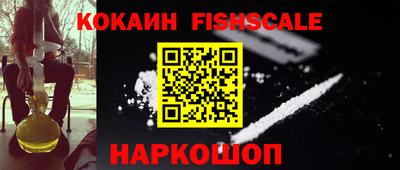 индика Рузаевка