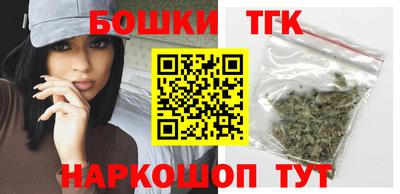 индика Рузаевка