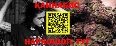 индика Рузаевка