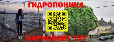 индика Рузаевка