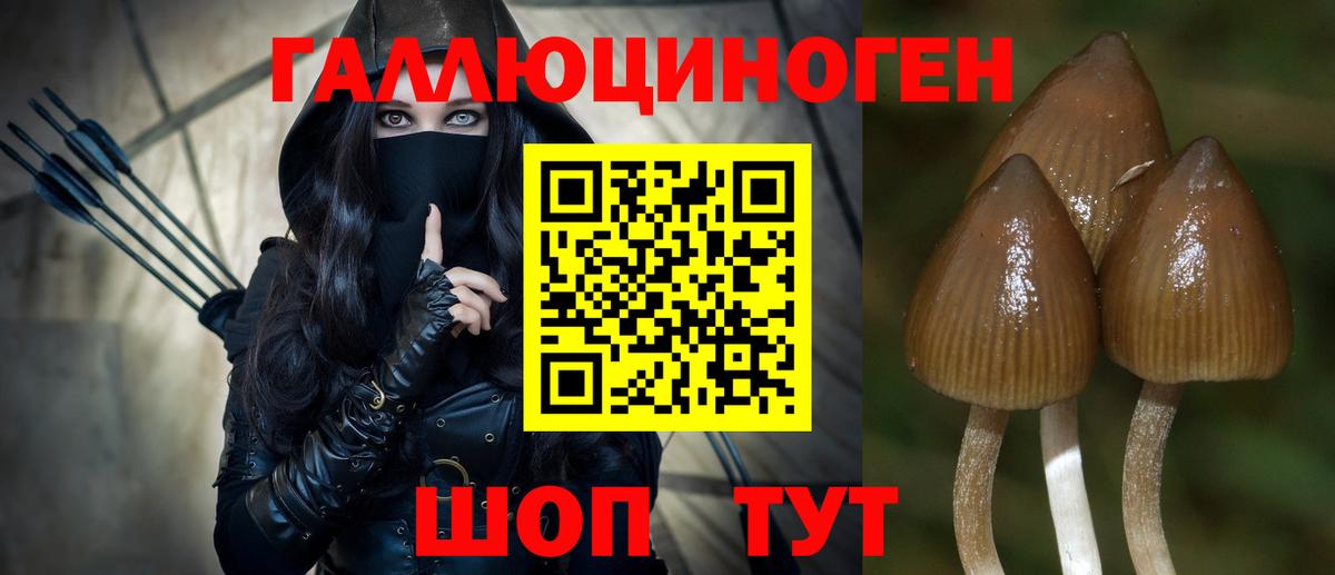 Псилоцибиновые грибы MAGIC MUSHROOMS  Галлюциногенные грибы мицелий  Вход с VPN  Отрадное 